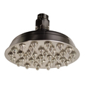 Whitehaus Small Sunflower Rainfall Showerhead W/ 37 Nozzles - Brass Construction WHSM01-6-BN